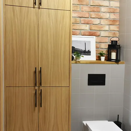 Apartment Loftowy Bohema Old Praga-north